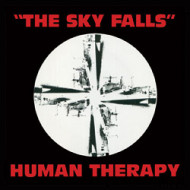 250_theskyfalls-cover